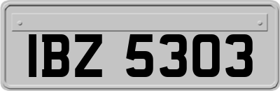 IBZ5303