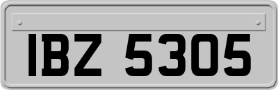IBZ5305