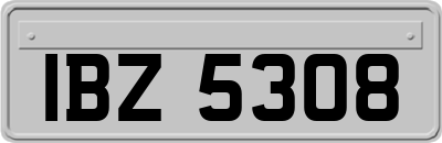 IBZ5308
