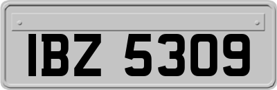IBZ5309
