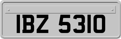 IBZ5310