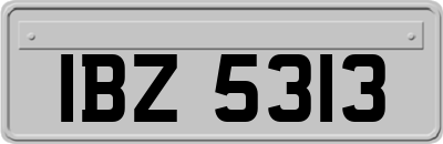 IBZ5313