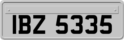 IBZ5335