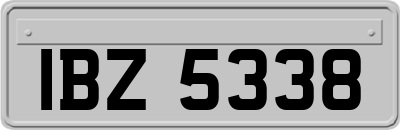 IBZ5338