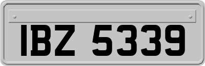 IBZ5339