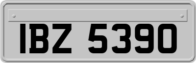 IBZ5390