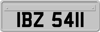 IBZ5411