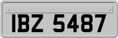 IBZ5487
