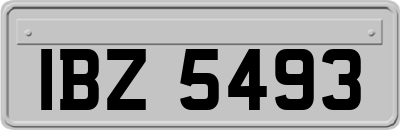 IBZ5493