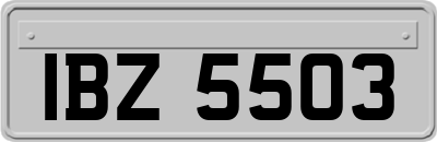 IBZ5503