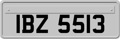 IBZ5513