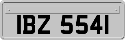 IBZ5541