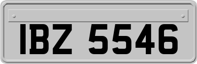 IBZ5546