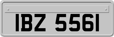 IBZ5561