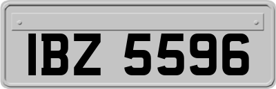 IBZ5596