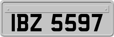 IBZ5597