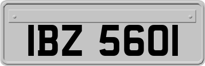IBZ5601