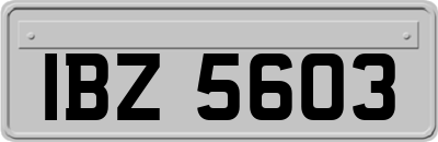 IBZ5603