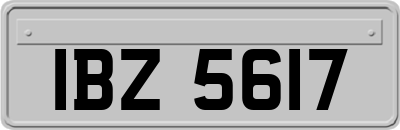 IBZ5617