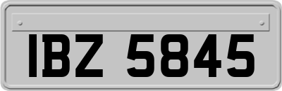 IBZ5845