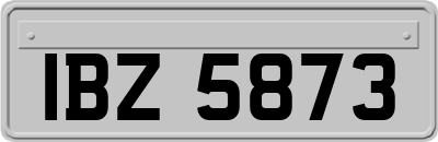 IBZ5873