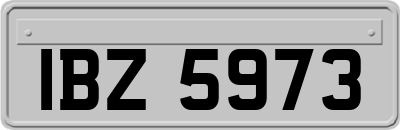 IBZ5973