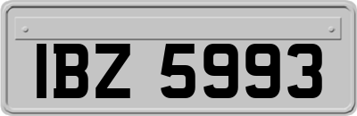 IBZ5993