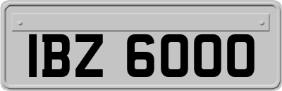 IBZ6000