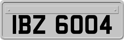 IBZ6004