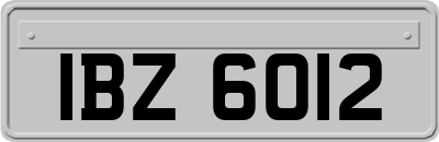 IBZ6012