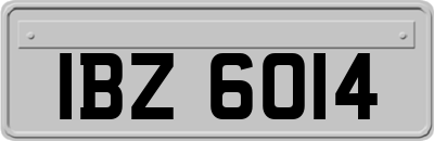 IBZ6014