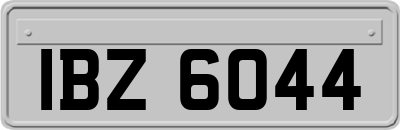 IBZ6044