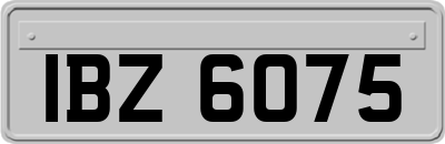IBZ6075