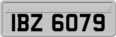 IBZ6079