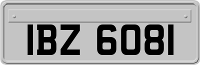 IBZ6081