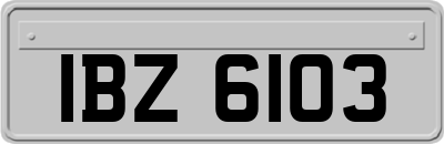 IBZ6103