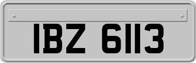 IBZ6113