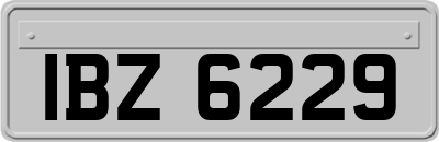 IBZ6229