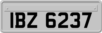 IBZ6237