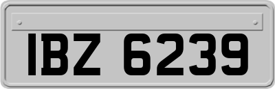 IBZ6239