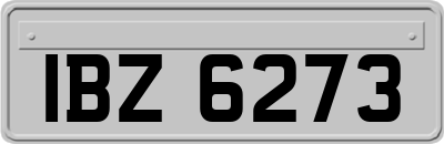 IBZ6273