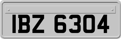 IBZ6304