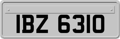 IBZ6310