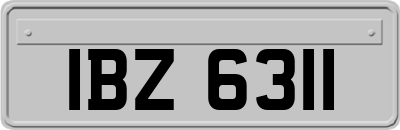 IBZ6311