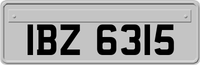 IBZ6315