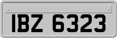IBZ6323