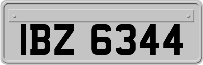 IBZ6344