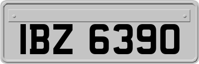 IBZ6390