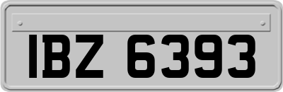 IBZ6393