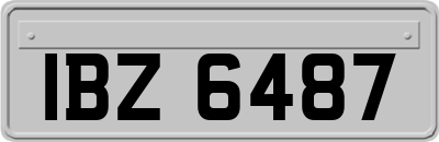 IBZ6487